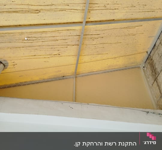 התקנת רשת נגד יונים במסתור כביסה מתחת לתקרה